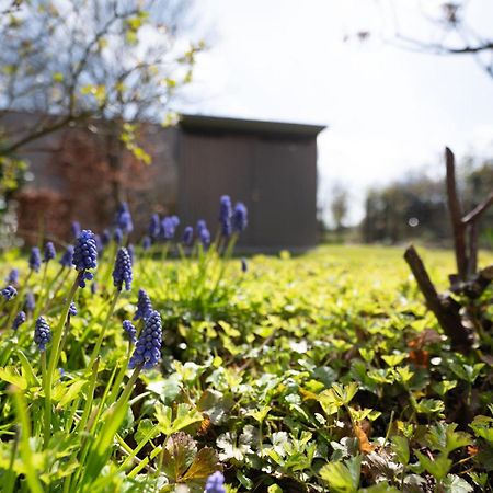 Auszeit Wormshoeft Hasselberg  Zewnętrze zdjęcie